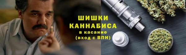 шишки Магас