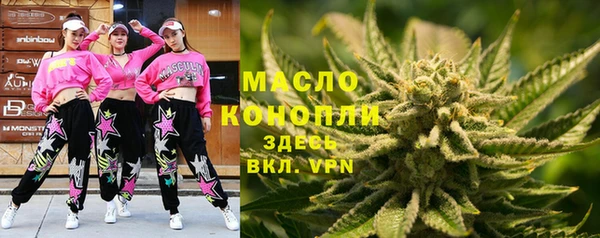 шишки Магас