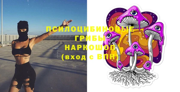 соль ск Абдулино