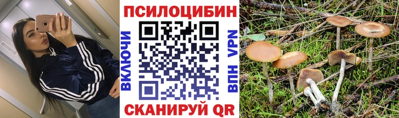 Псилоцибиновые грибы мицелий  Старый Крым 